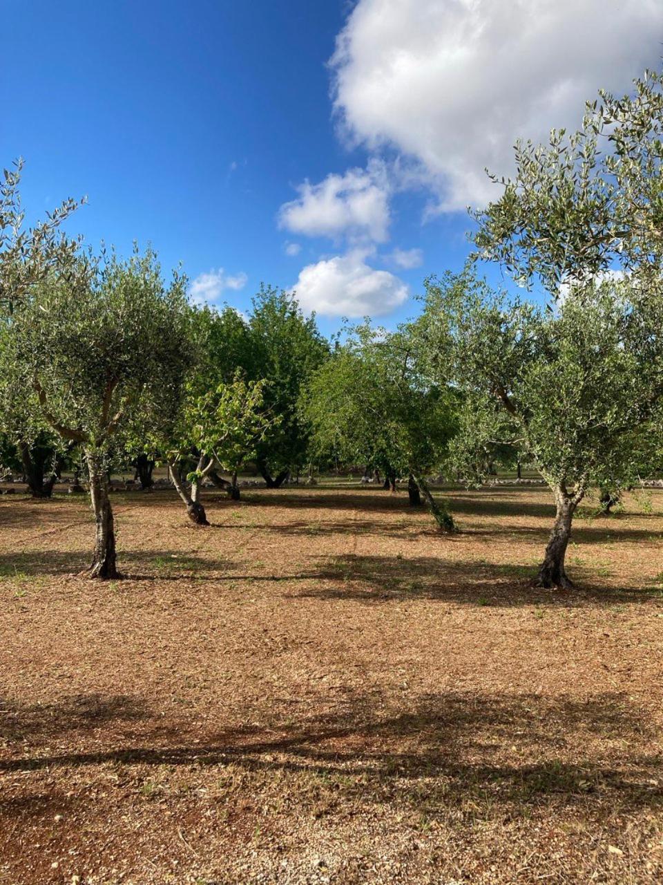 Antica Tenuta Dei Trulli By Qualitravel Alberobello Extérieur photo